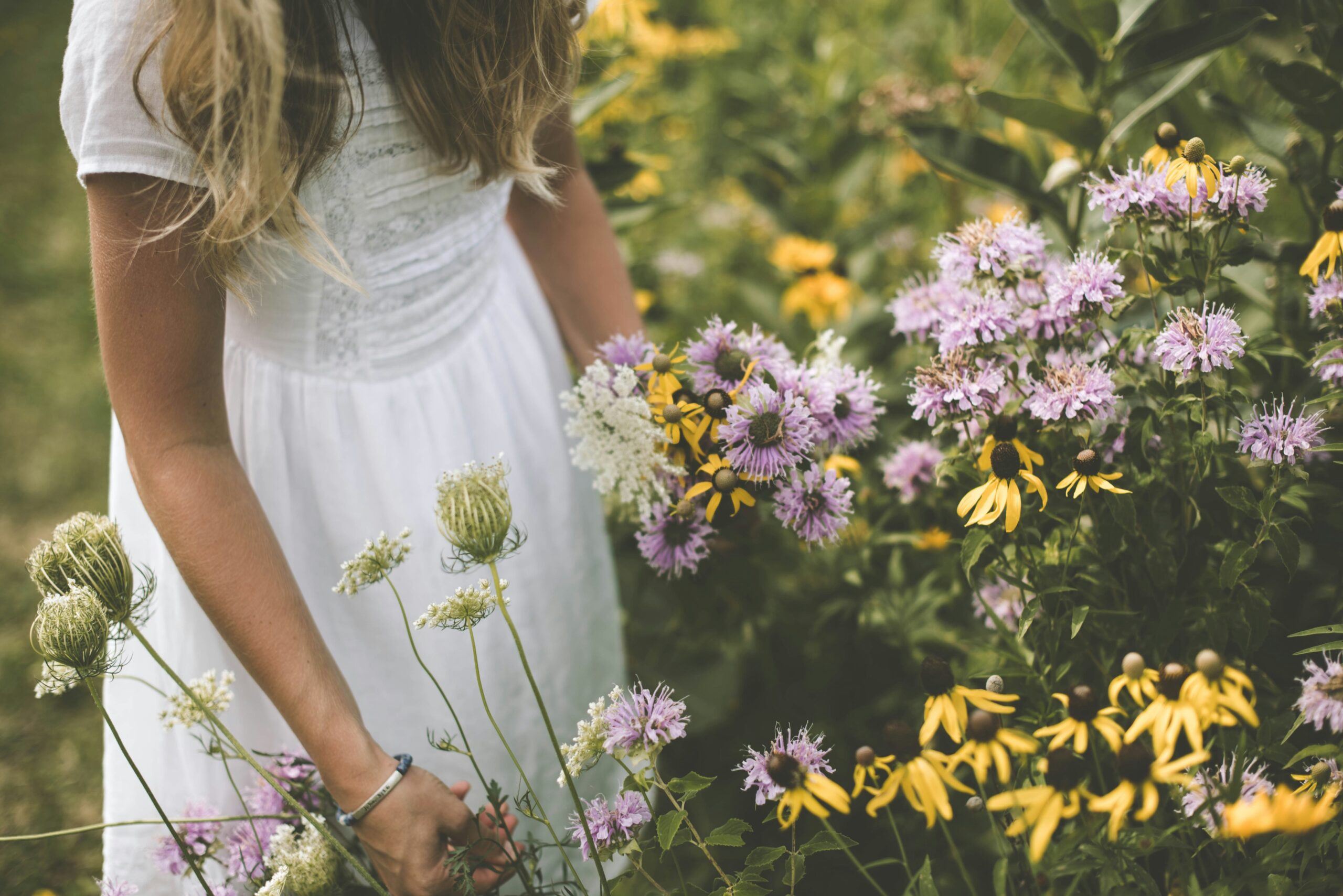 samantha-gades-jh8WipwZKBY-unsplash